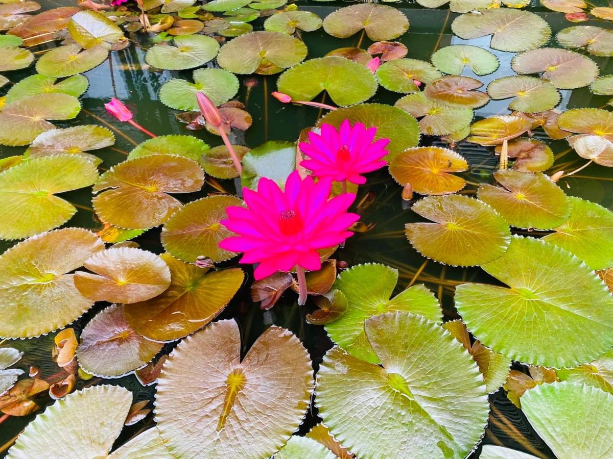 Nana Homestay & Villa Huế Kültér fotó